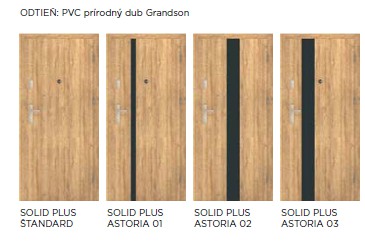 dvere solid plus1